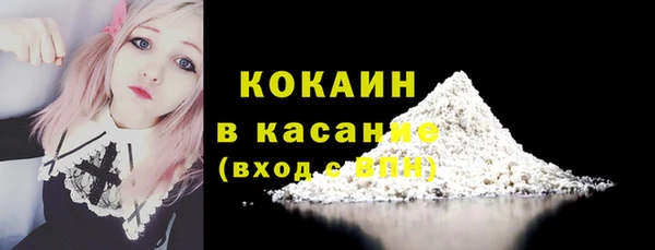 mdpv Богородицк