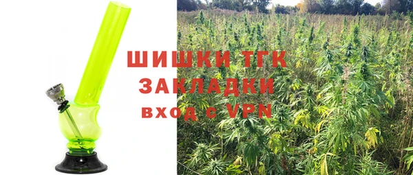 mdpv Богородицк