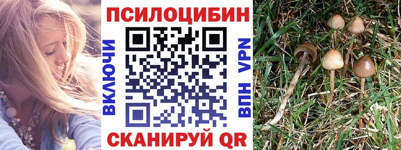 продажа наркотиков  Волгореченск  Псилоцибиновые грибы Cubensis 
